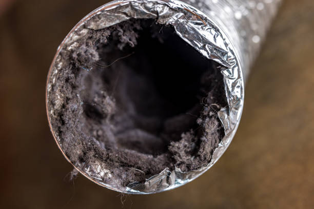 Best Best Air Duct Cleaning Company  in Hermitage, PA