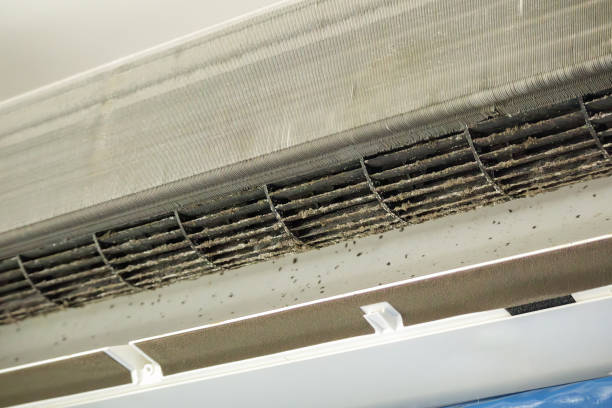 Best Commercial HVAC Duct Cleaning  in Hermitage, PA